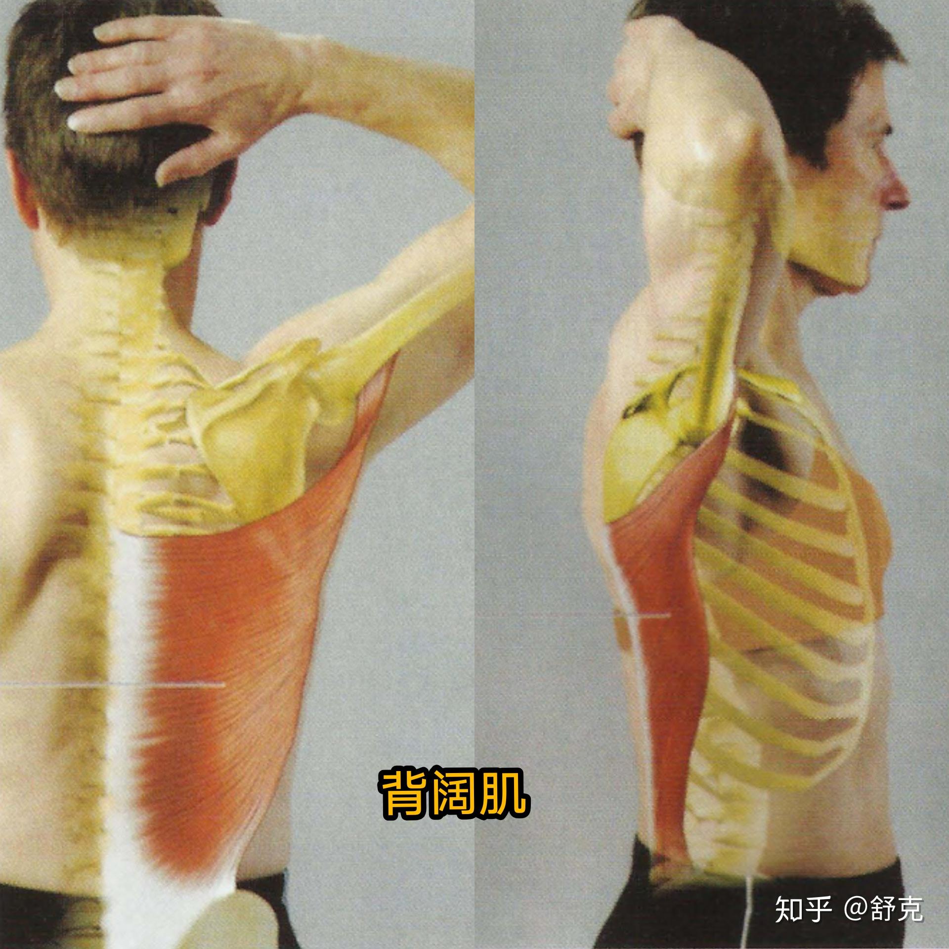 v2-4c68fb91484a480cc95a363c3798b313_r.jpg