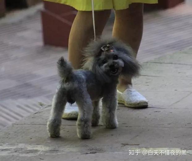 v2-4c826267e96d7cb0764c6ab8bb26f56f_r.jpg
