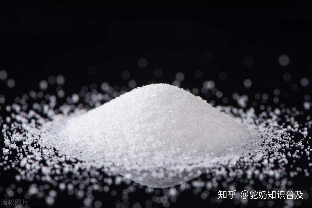 骆驼为什么要吃盐,盐分对于骆驼有多重要 - 知乎