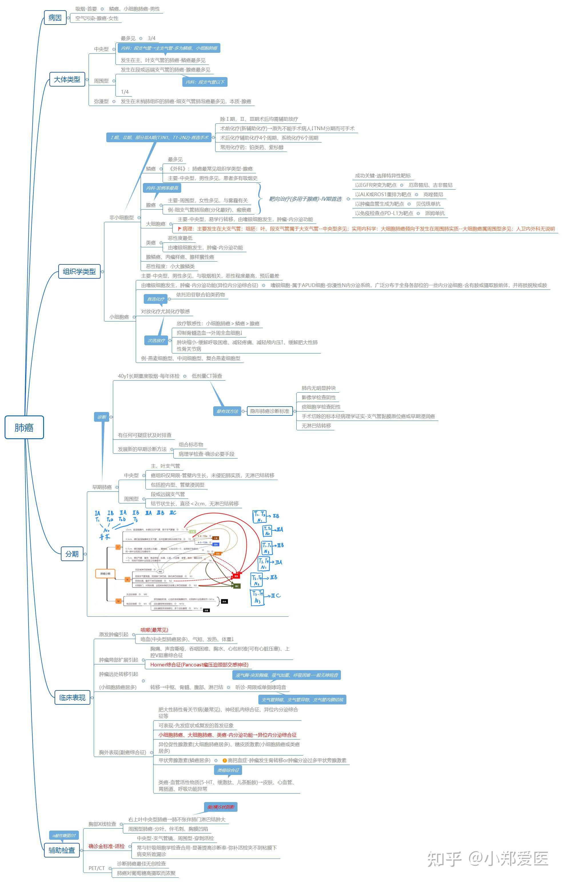 内科学思维导图之呼吸系统