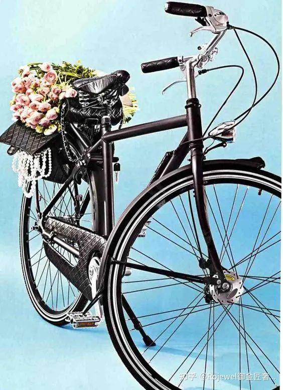 塞纳河畔左岸那18万一辆的lv自行车绝了