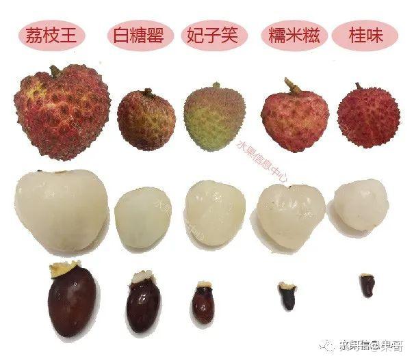 测评时下5种荔枝,谁才是你心目中的王者? - 知乎