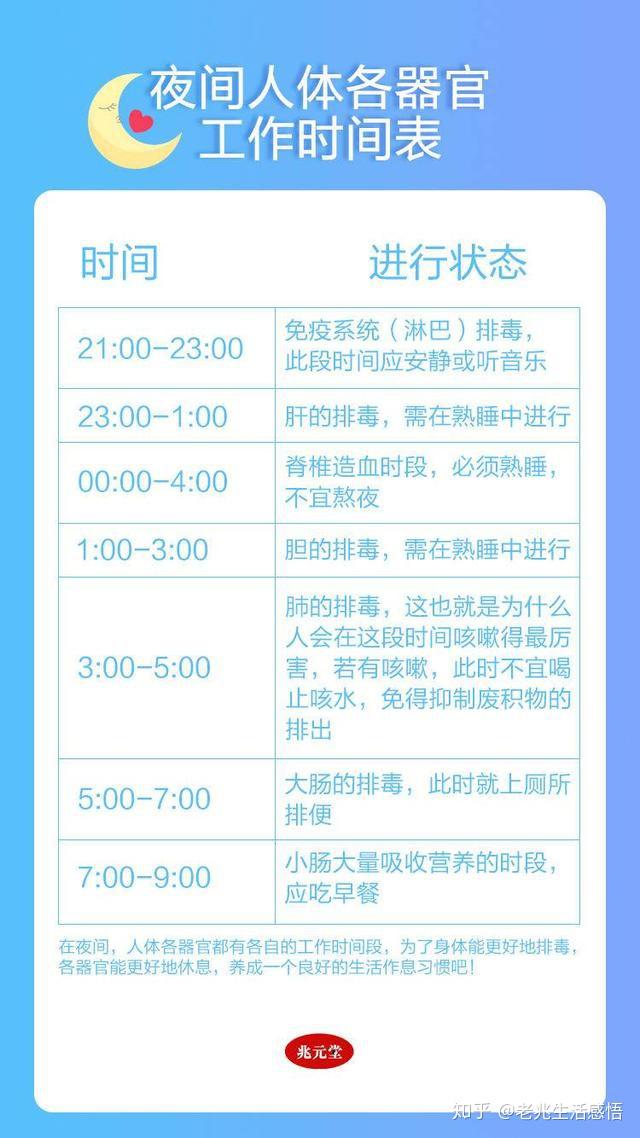 人体各器官排毒时间