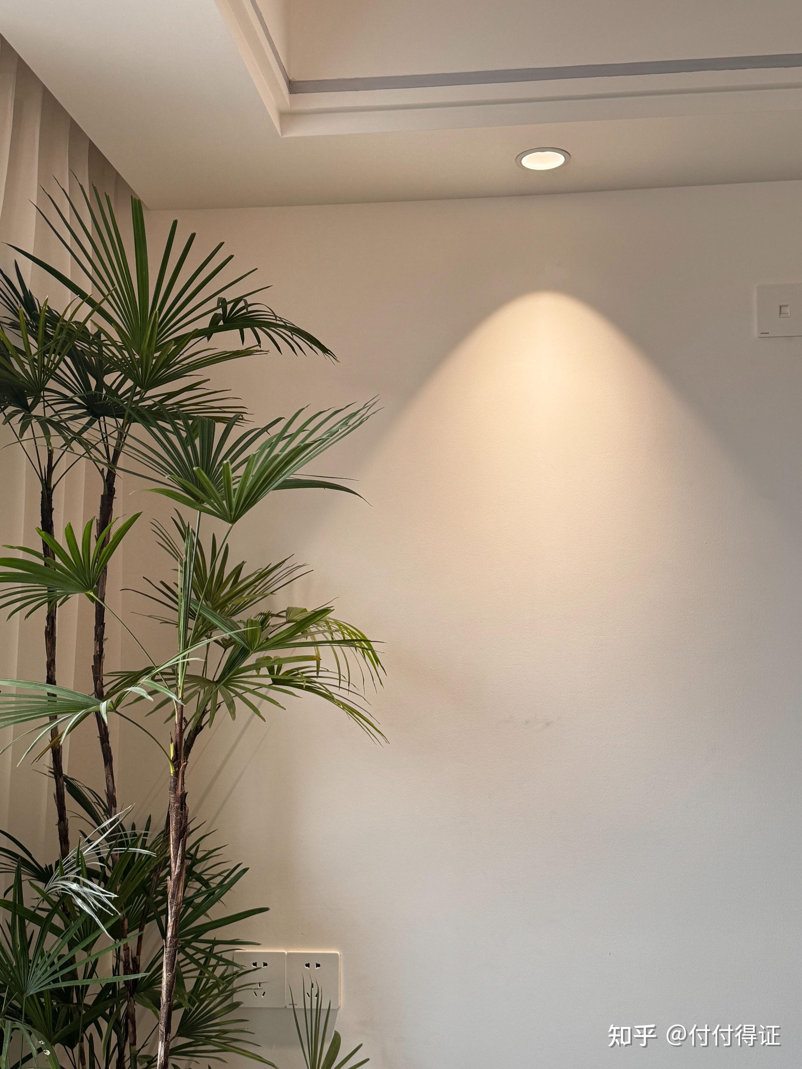 射灯怎么选实用且性价比高?