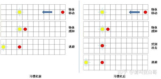 通用的恐惧学习和经典条件反射 附代码 知乎