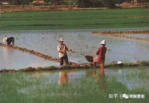 湖南新化方言本字之戽水、戽斗、戽桶 - 知乎