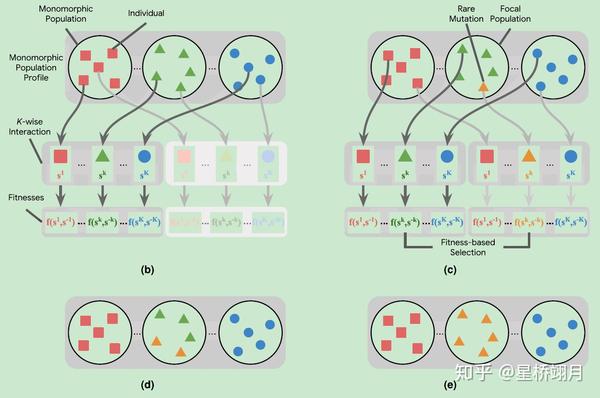 α-Rank: Multi-Agent Evaluation by Evolution