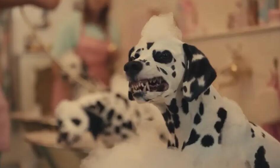 [电影] 黑白魔女库伊拉——并非记忆中的邪恶反派