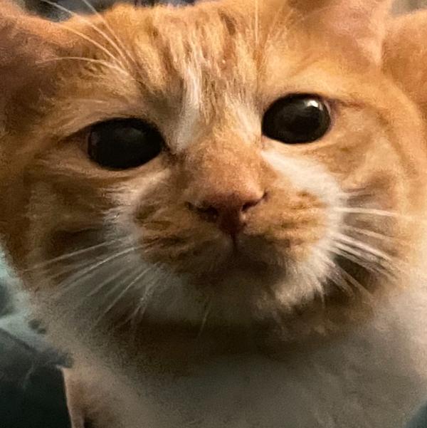 如何以u201c我他妈不是舔狗u201d为开头写一个故事？ - 知乎