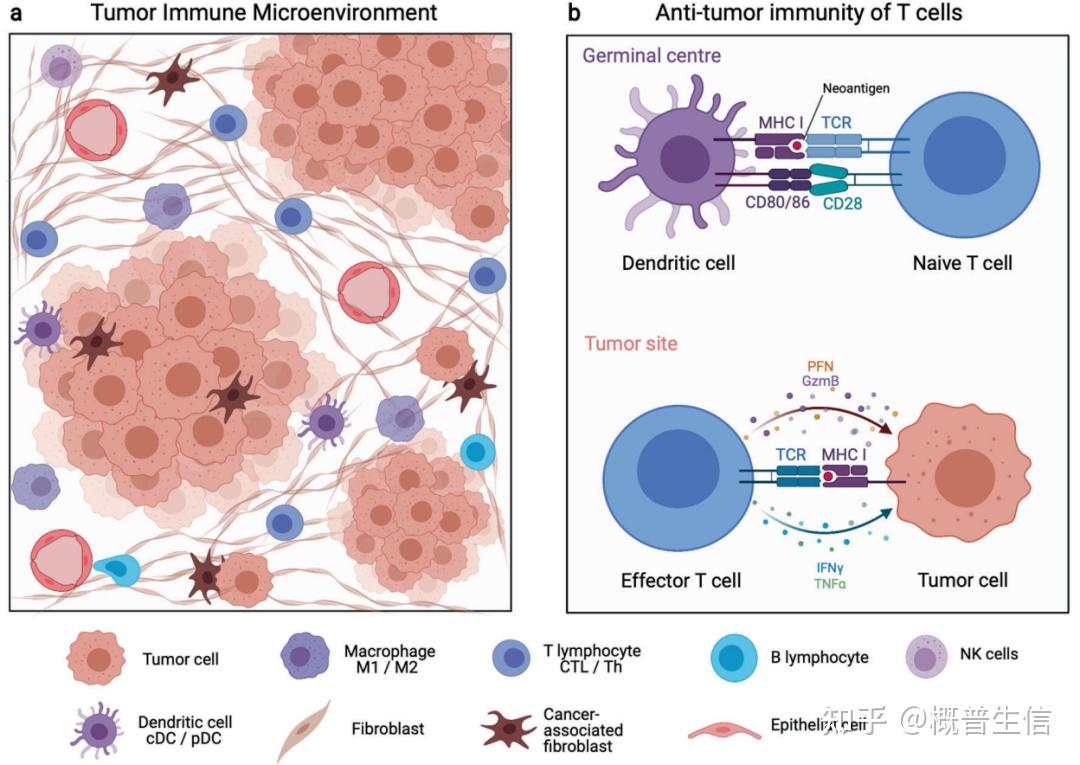 生信分析 肿瘤免疫研究进展中两项不可或缺的技术 知乎