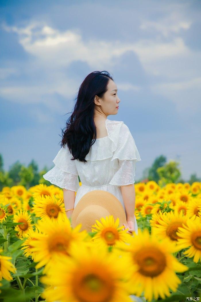 向日葵根本不是跟着太阳转动,起码我没发现[偷笑]小姐姐好看吗阳光