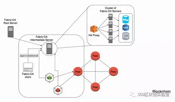 Hyperledger Fabric 架构解读 知乎