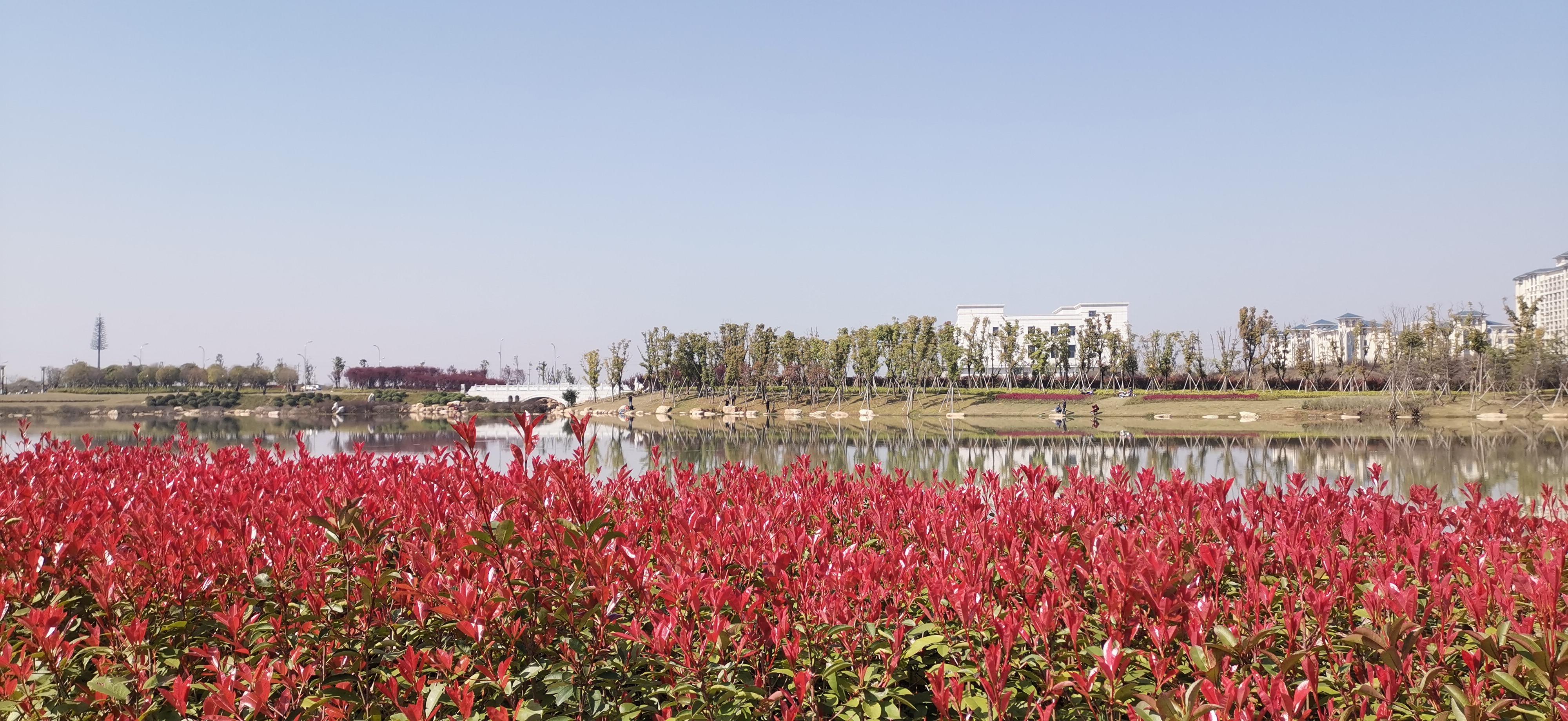 吉安视觉鹿鸣湖公园风光美如画