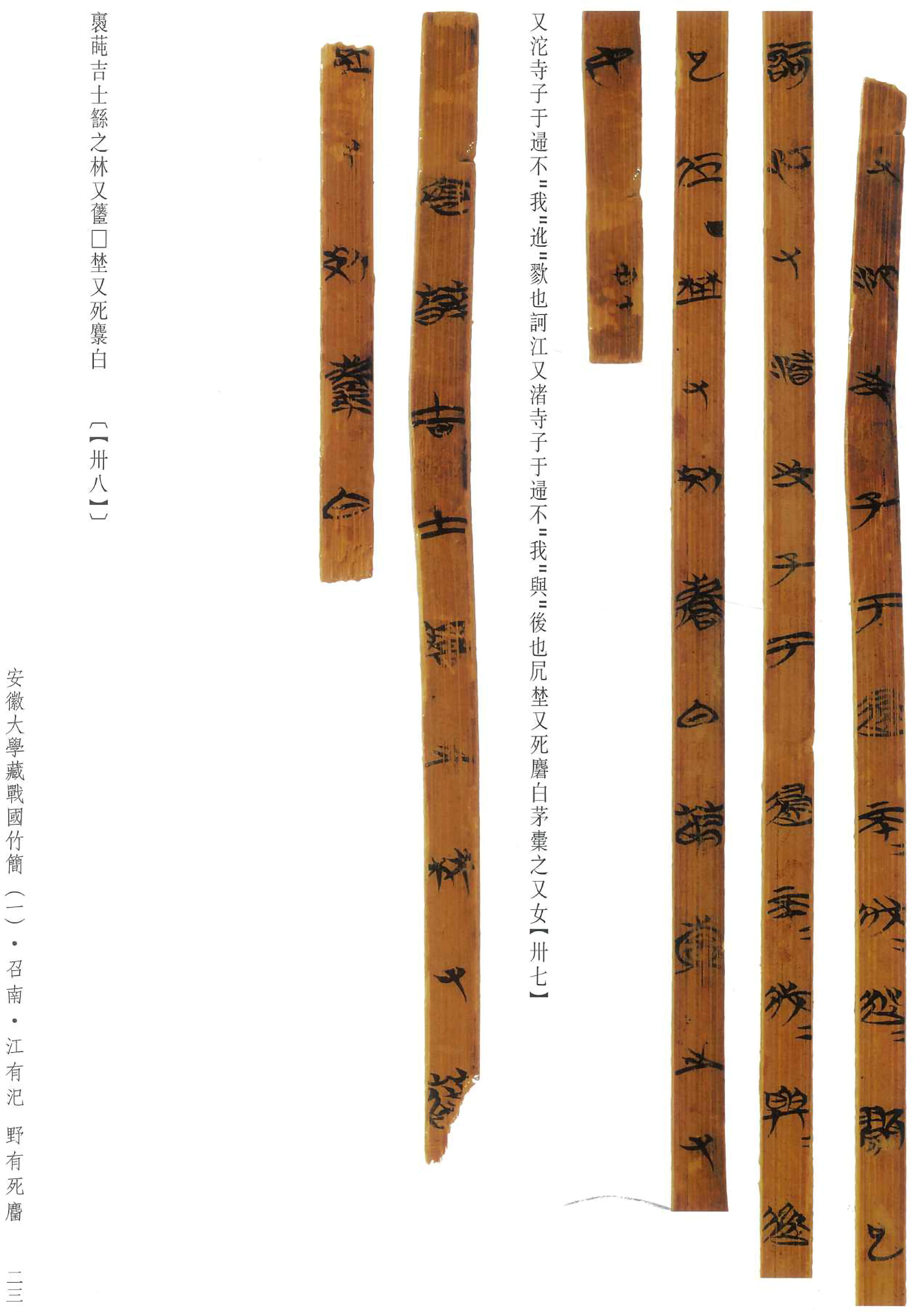 安大简诗经64国风64召南野有死麕