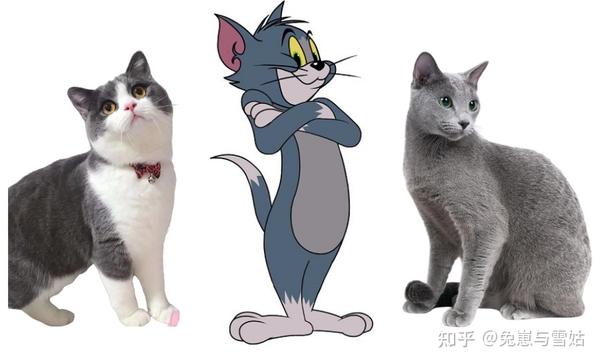 盘点那些动漫里的猫,附精美剧照! - 知乎