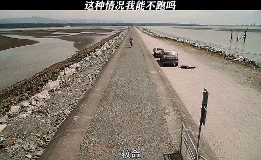 这个翻译官真的很搞笑,电影雪狼谷