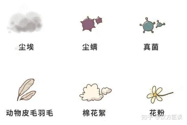 医学如此发达,为什么过敏性鼻炎还是无法根治? - 知乎