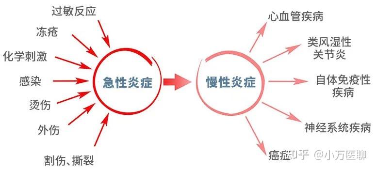 慢性炎症開始時症狀相似,但持續數週甚至數