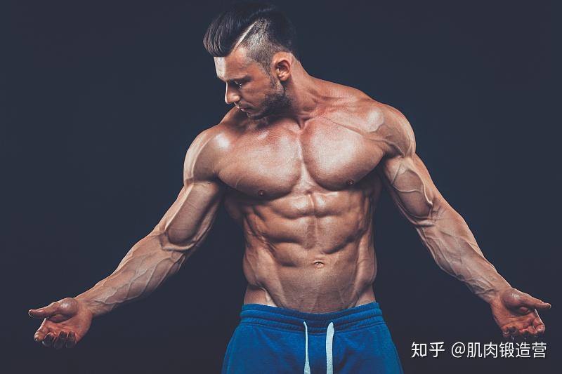 人鱼线不是马甲线,选对位置再锻炼,才能获得性感人鱼线 - 知乎