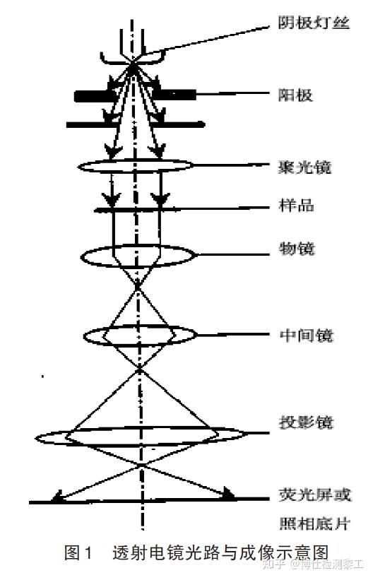 透射电镜结构简图图片