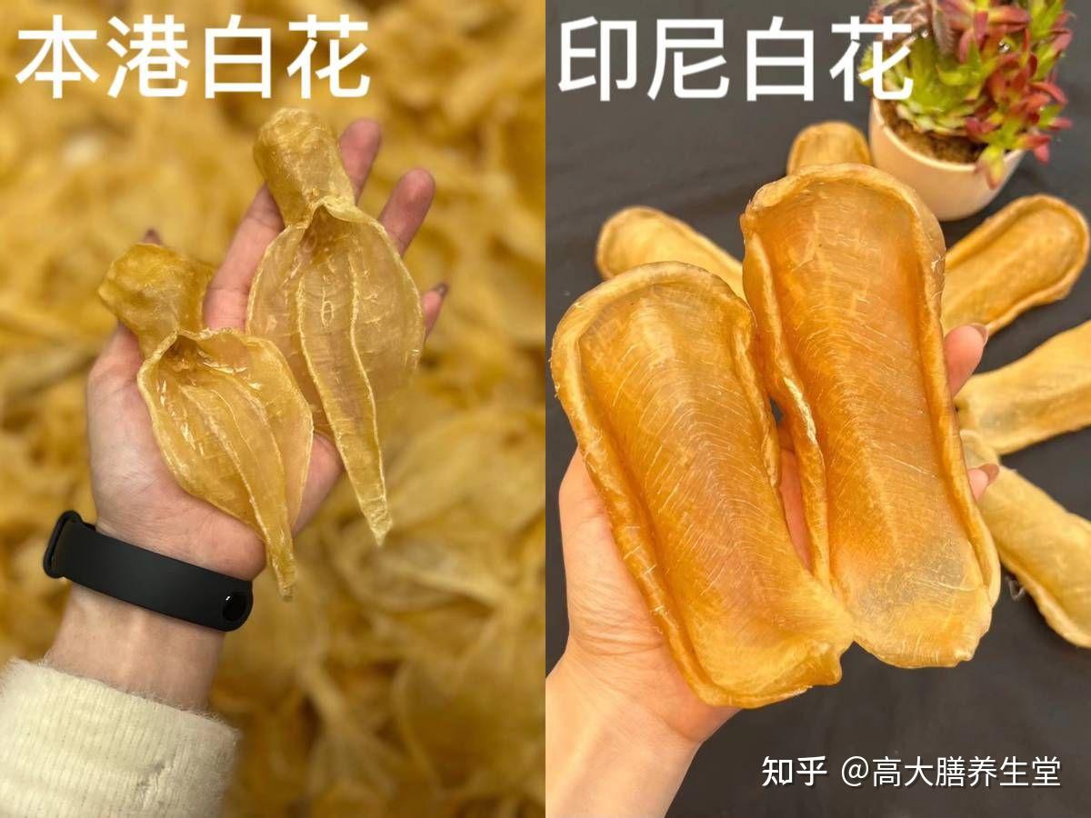 【鱼胶知识】学会这些花胶干货,再也不用担心被骗啦! - 知乎
