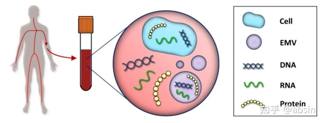 体外诊断业的宠儿——游离DNA - 知乎