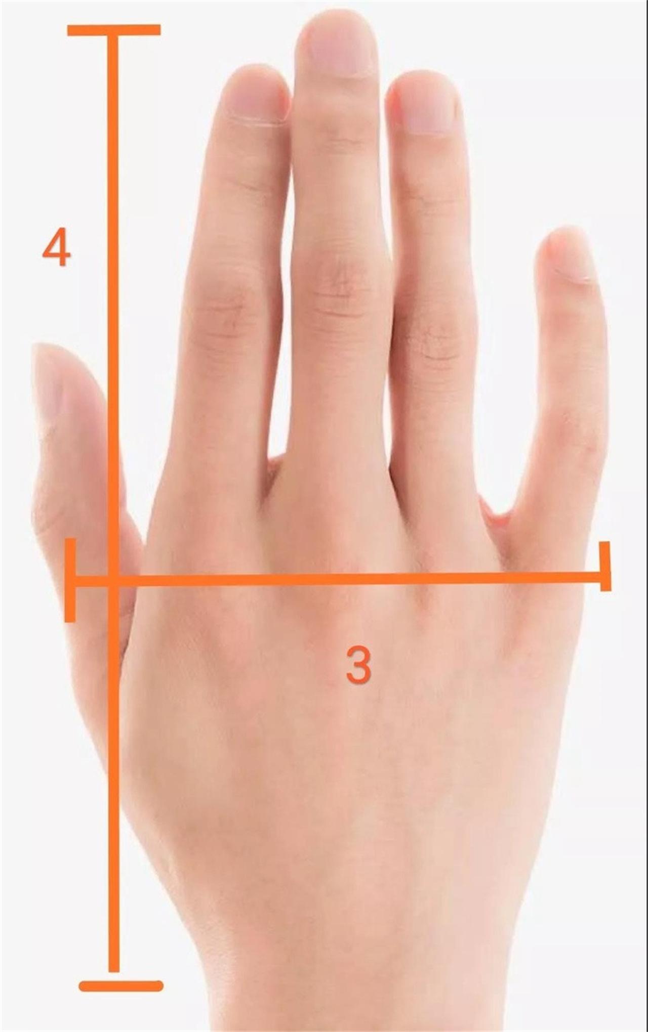 手美人更美范芳医生谈手的美学标准