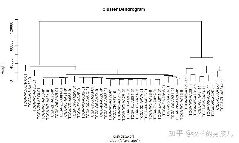 加權基因共表達網絡分析wgcna實例