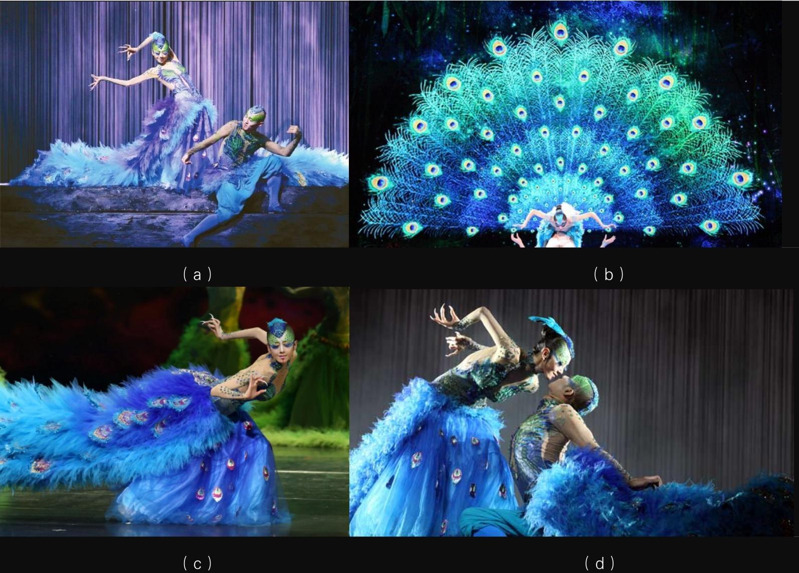 1-12 中国舞蹈家杨丽萍和她的孔雀舞