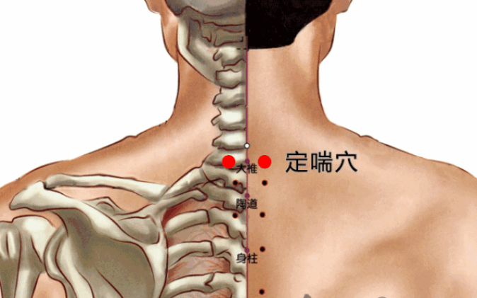5寸位置:十七椎穴位于腰部,在后正中线上,第5腰椎棘突下;先取找到腰