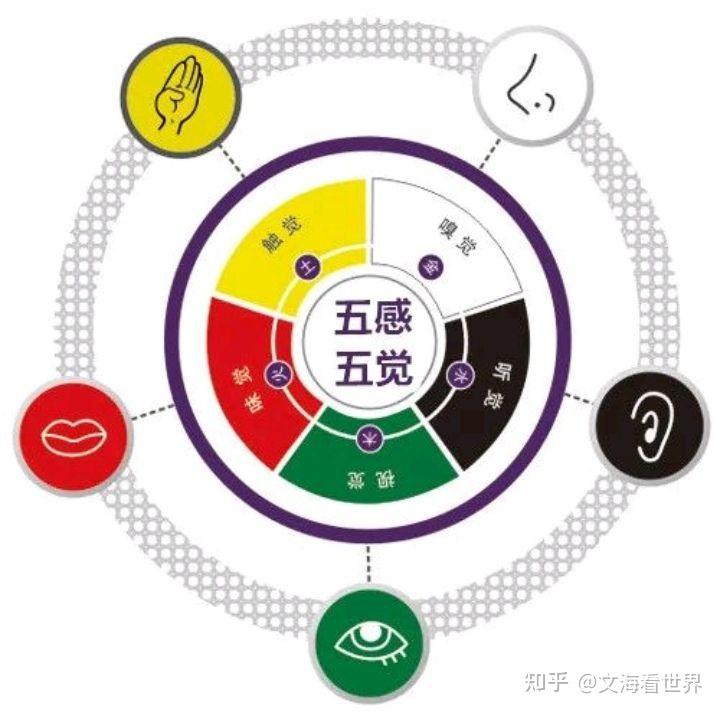 五感疗愈:文旅产业的下一个风口、是一种商业创新,更是一种文化现象 - 知乎