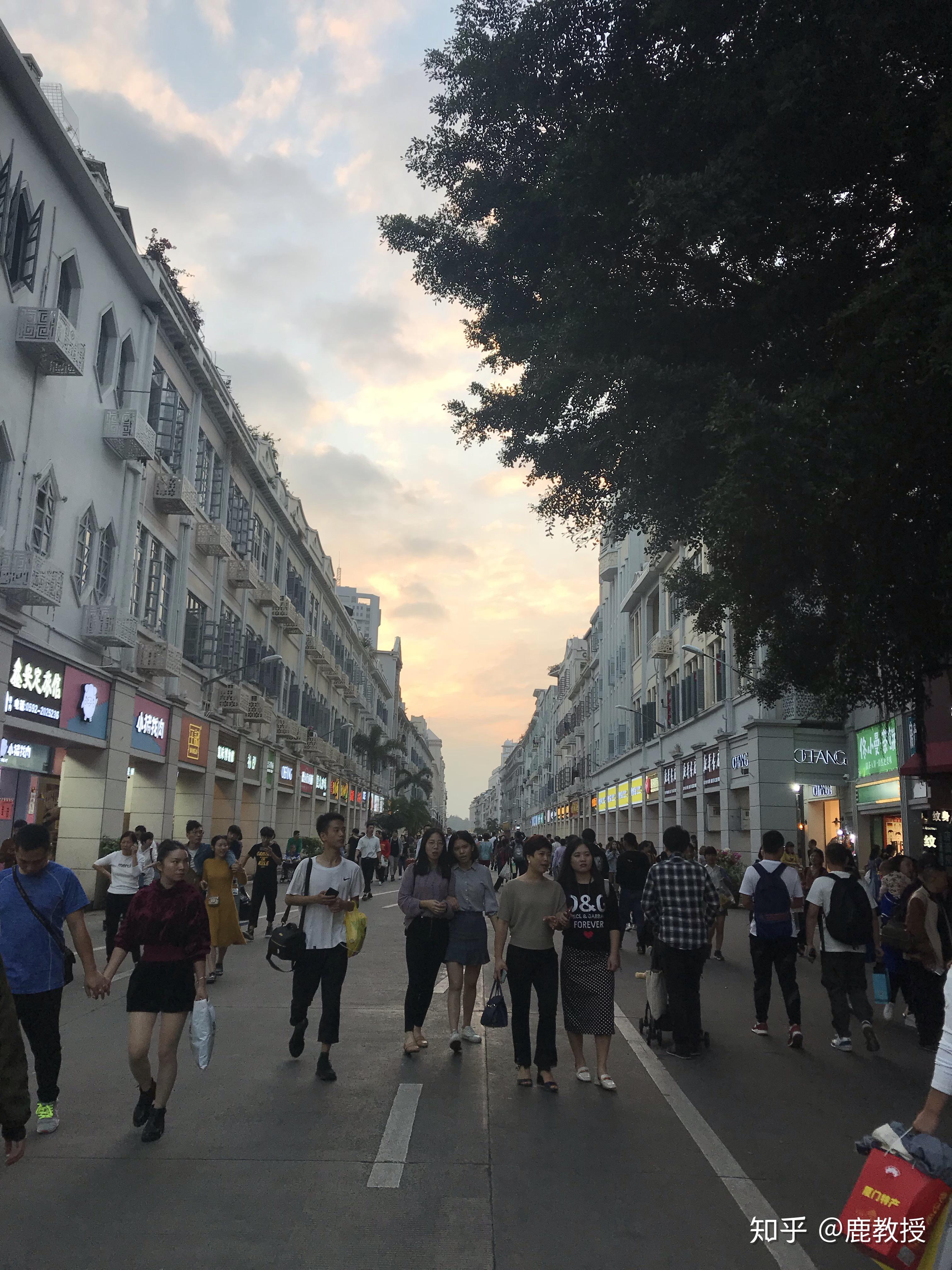 这里就不细说了,厦大附近也有猫咪博物馆,建议去看一下!