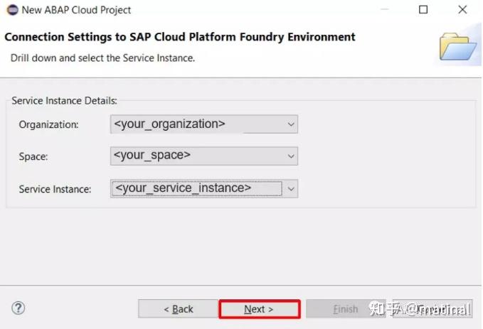 我們會進入到service instance logon界面,我們需要提供sap cloud