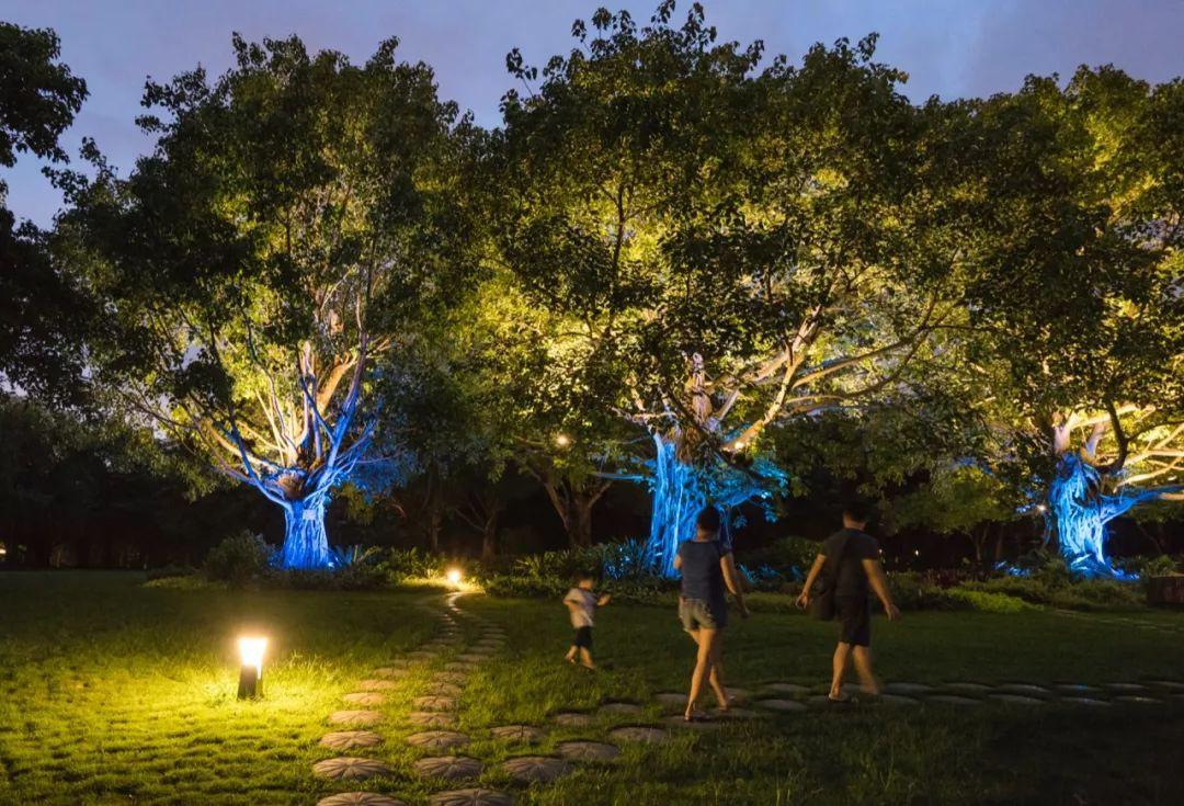 城市植物的夜间生态平衡与景观照明的关系