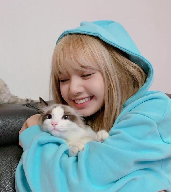 Yg娱乐故伎重施 将lisa的名字注册成商标 知乎