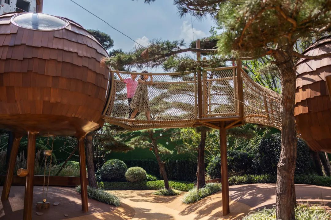 误入松鼠之家的奇趣之旅 | 达尔文营地之悦山松林集