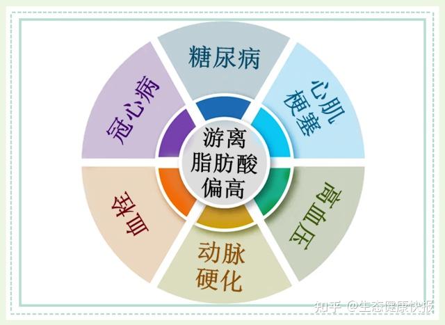 小欣苷健康科普:游离脂肪酸偏高的原因及危害? - 知乎