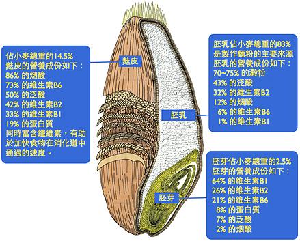 你知道不一样种类的面粉到底有什么区别吗?教你怎样正确选择面粉 - 知乎