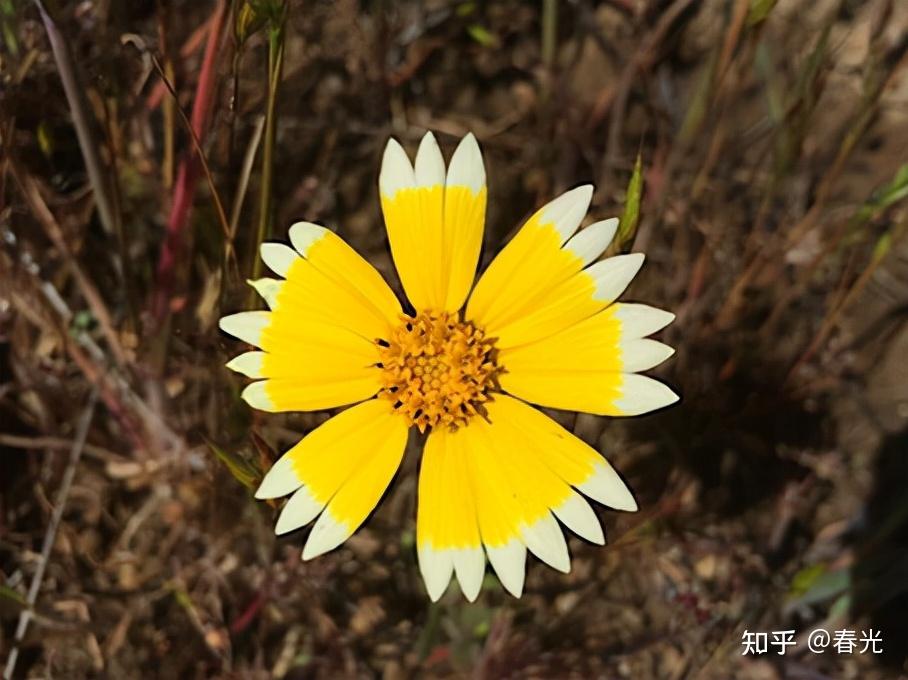 66张治愈强迫症的完美图片看完整个人都舒服了