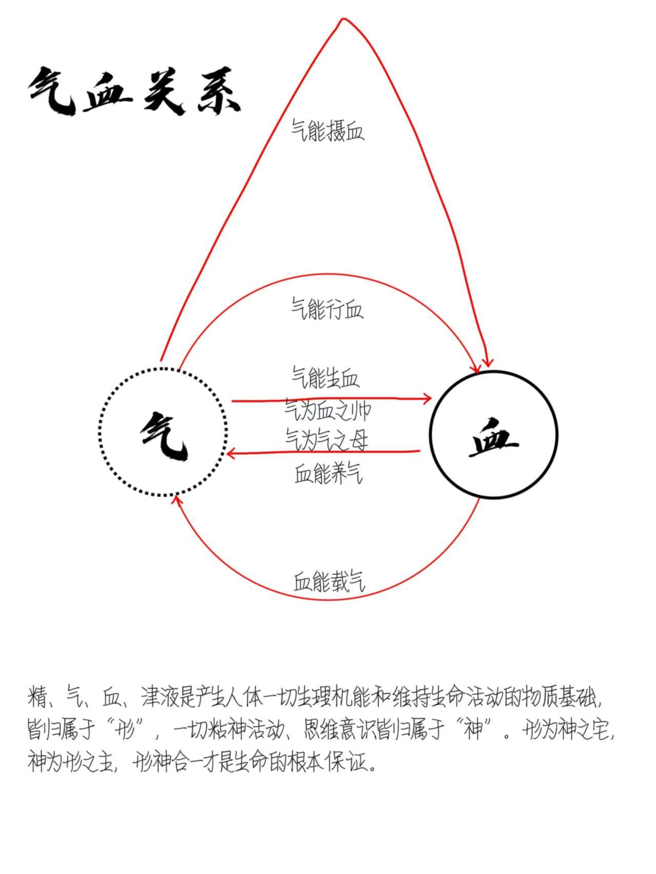 中医里气血与阴阳的知识 - 知乎