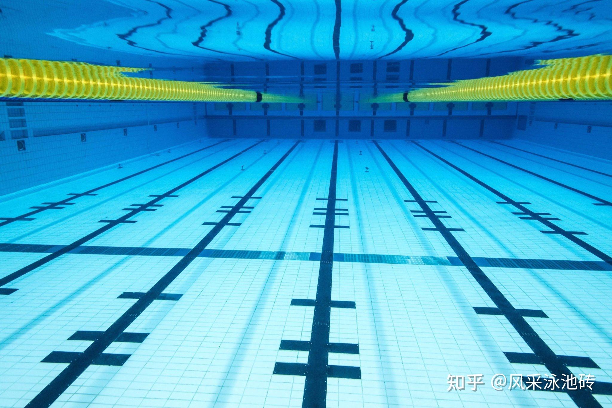 云南海埂游泳训练馆-泳池砖铺贴完工-绅岚