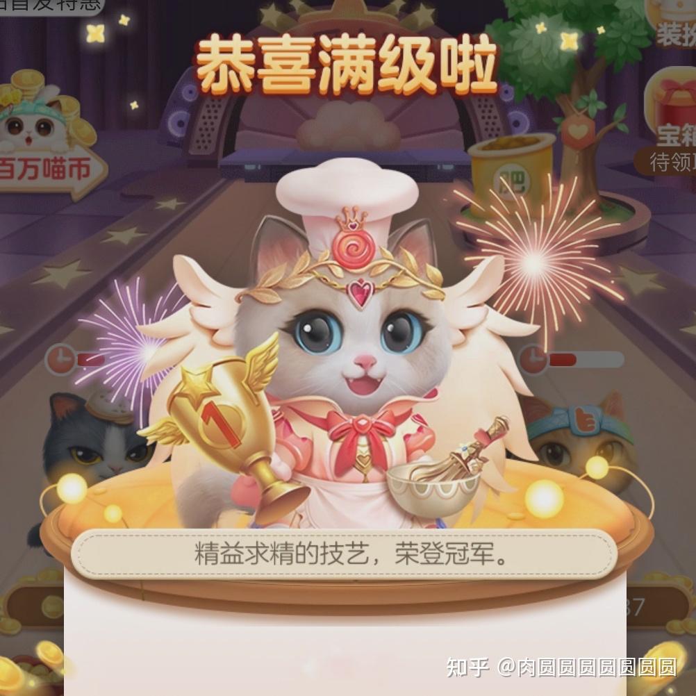 猫币充值(猫币入口在哪里)