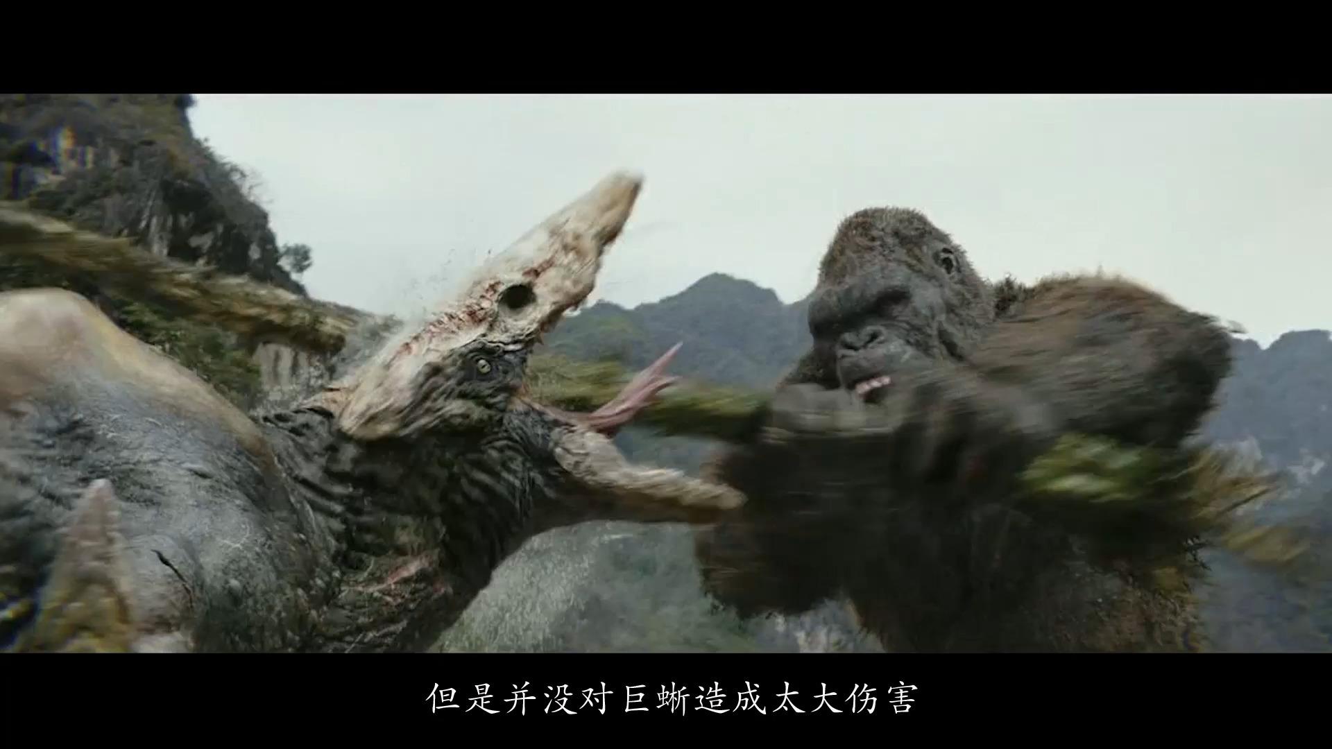 人类深海探索意外惊动深海巨鲨惨遭袭击