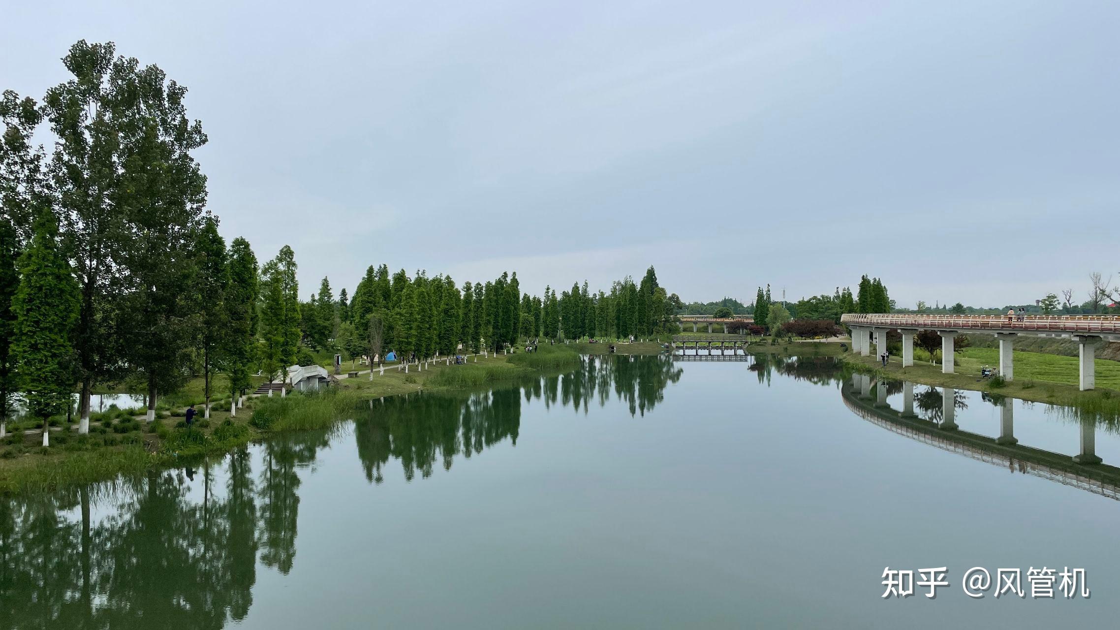 沿錦江綠道騎行,旁邊是洶湧的府河,然後繞行香草湖溼地公園,又騎過雙