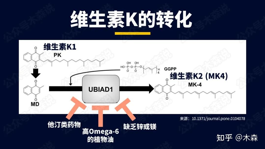 维生素k2高的食物_维生素k2食物