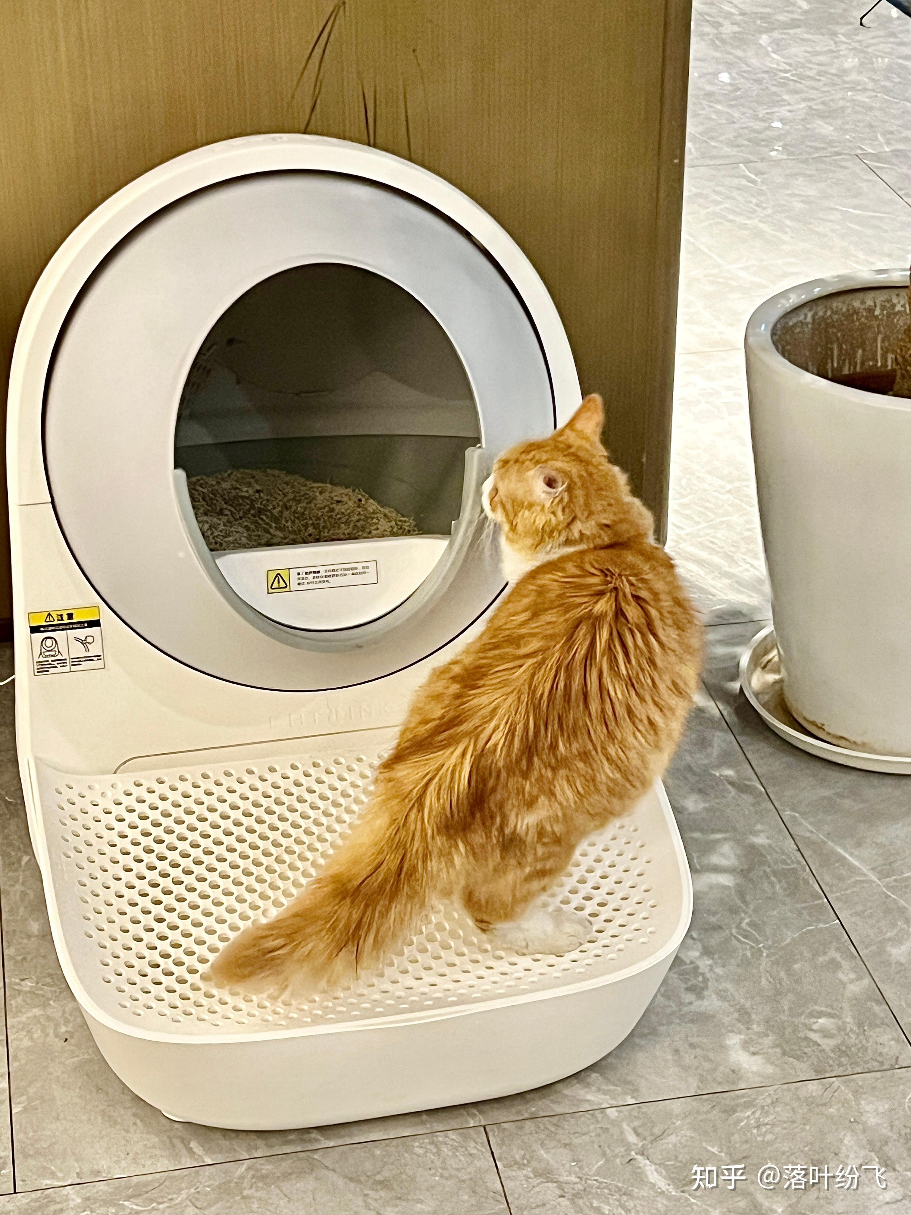 多猫家庭需要准备几个猫砂盆?8年铲屎官负责任告诉你:一个智能猫砂盆至少能顶三个24小时不停工作的铲屎官,轻松提升养宠幸福感! - 知乎