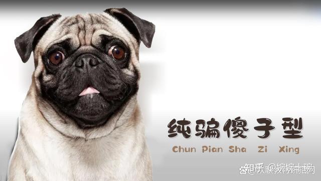 其实在收智商税里边有一类基本的,我把它总结成叫做纯骗傻子型的.