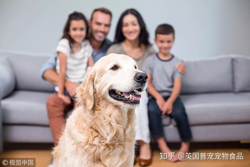 養狗家庭如何減輕家裡的狗味