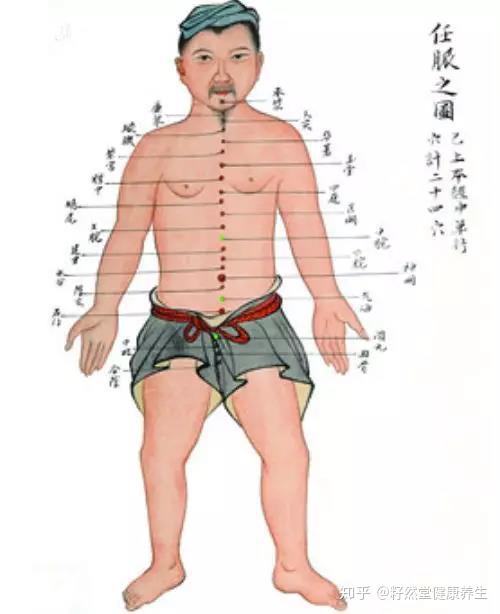 这条经 是女人的命根 再难也要打通它 知乎