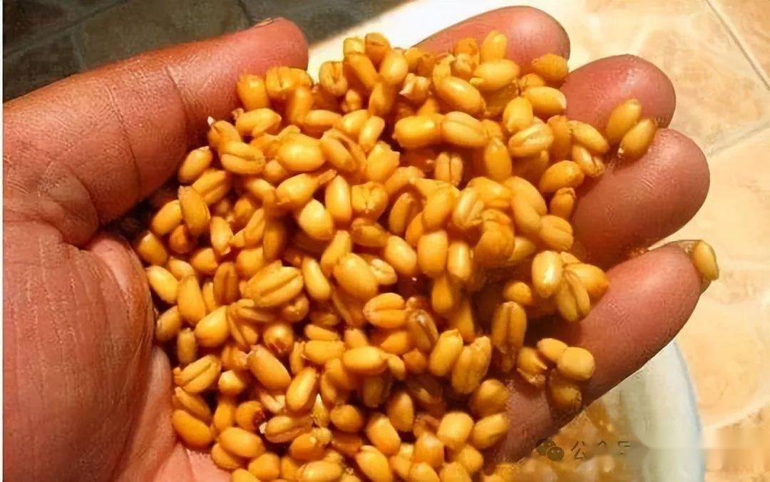 钓鱼不打窝钓的也不多春分过后钓鲫鱼选对窝料是关键